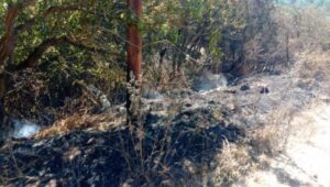 VATRA NIJE POŠTEDELA NI EPARHIJU RAŠKO-PRIZRENSKU: I pored junačkih napora meštana i monahinja ogromna šteta od požara