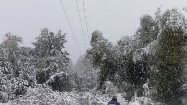 МЕТЕО АЛАРМ У СРБИЈИ СНЕГ, ЛЕД И ОЛУЈНА КОШАВА Ево докле ће да траје: Временска прогноза за уторак, 20. јануар