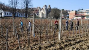 Održan okrugli sto o radu poljoprivrednih  škola: Traže subvencije i nabavku savrmenih mašina